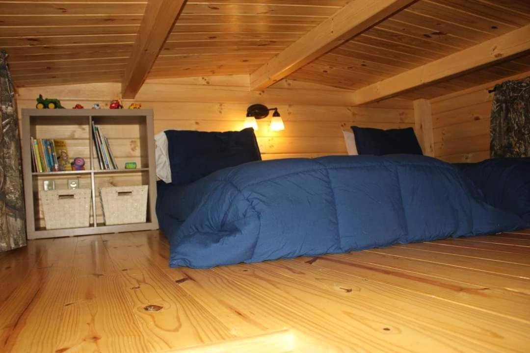 Two Rivers Cabins - The Mountaintop Brevard Exterior foto